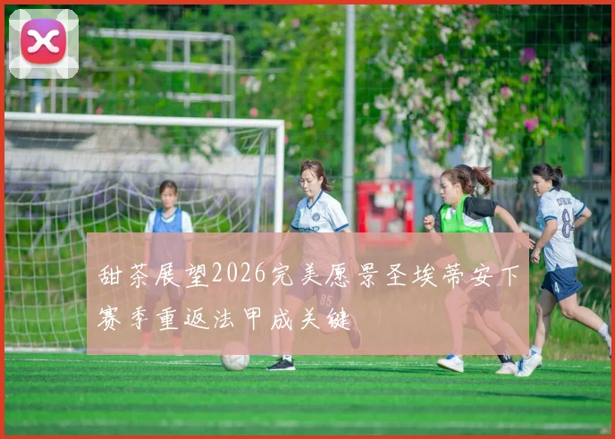 甜茶展望2026完美愿景圣埃蒂安下赛季重返法甲成关键