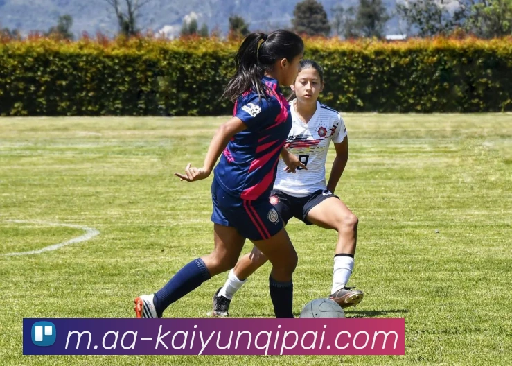 开云棋牌官网APP 高清赛事图